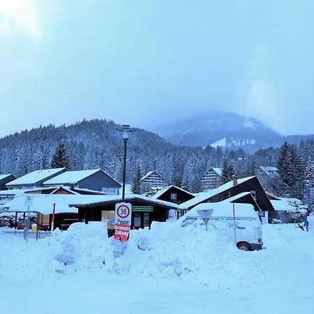 Apartment Amazing Family - Visit Hallstatt, In Tauplitz