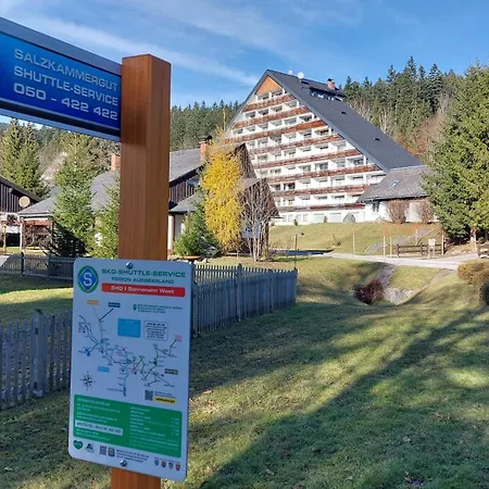 Amazing Family - Visit Hallstatt, In Tauplitz Apartmán *